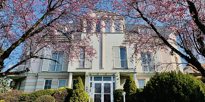 Vorstellung der Rosenweiss Dental Zahnklinik